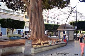 20 ALMERIA CENTRE VILLE (47)